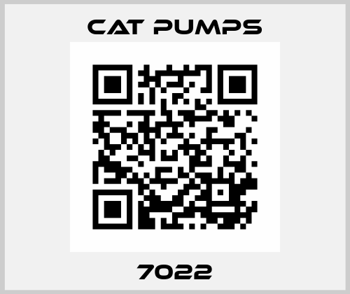 7022 Cat Pumps