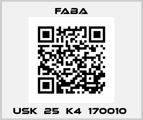 USK  25  K4  170010  Faba