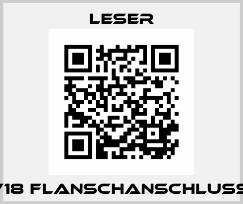 V18 Flanschanschluss  Leser
