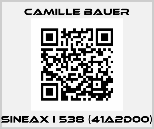 SINEAX I 538 (41A2D00) Camille Bauer