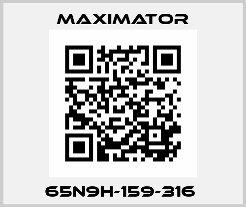 65N9H-159-316  Maximator
