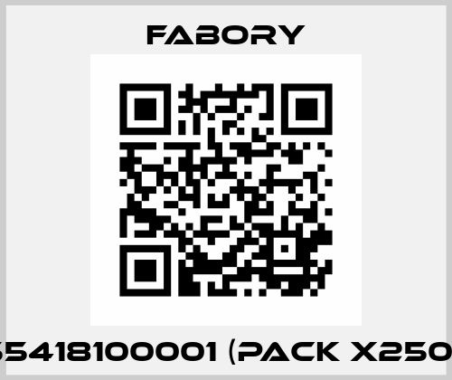 55418100001 (pack x250)  Fabory