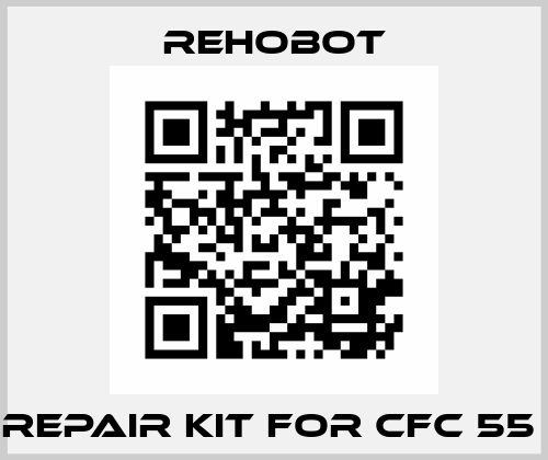 Repair kit for CFC 55  Nike Hydraulics / Rehobot