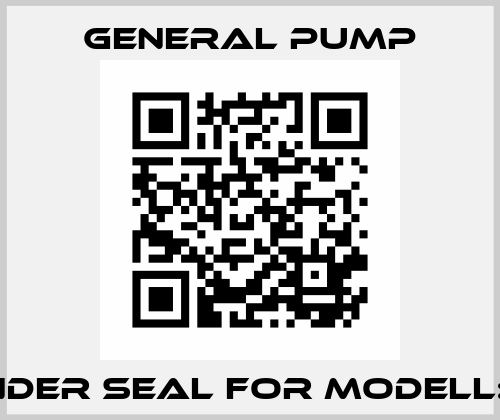 cylinder seal for Modell: T44  General Pump
