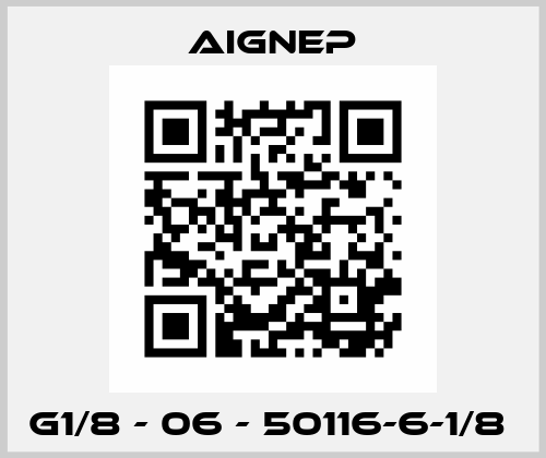 G1/8 - 06 - 50116-6-1/8  Aignep