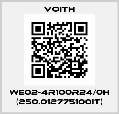 WE02-4R100R24/0H (250.012775100IT) Voith