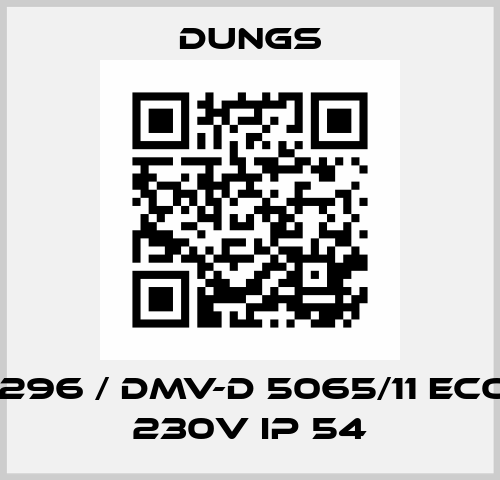 256296 / DMV-D 5065/11 eco AC 230V IP 54 Dungs