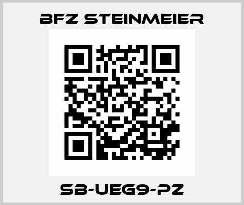 SB-UEG9-PZ BFZ STEINMEIER