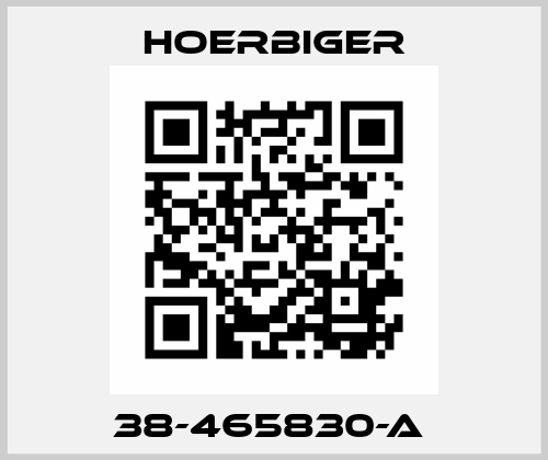 38-465830-A  Hoerbiger