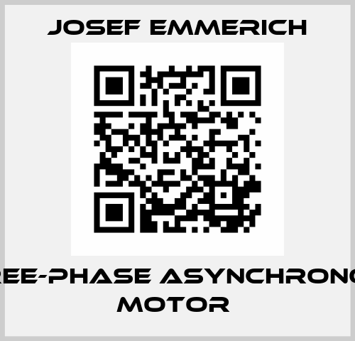 Three-phase asynchronous motor  Josef Emmerich
