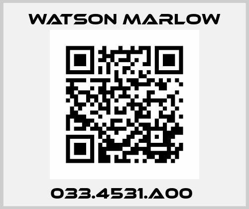 033.4531.A00  Watson Marlow