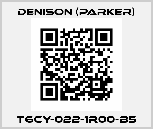 T6CY-022-1R00-B5 Denison (Parker)