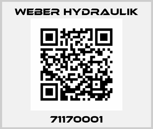 71170001 Weber Hydraulik