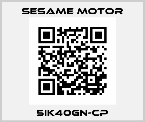5IK40GN-CP Sesame Motor