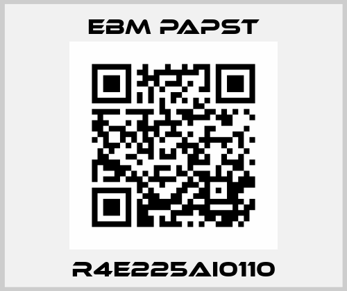 R4E225AI0110 EBM Papst