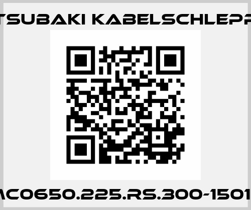 MC0650.225.RS.300-15015 Tsubaki Kabelschlepp