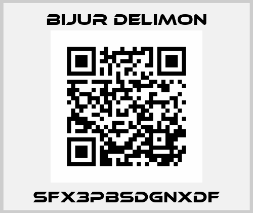 SFX3PBSDGNXDF Bijur Delimon