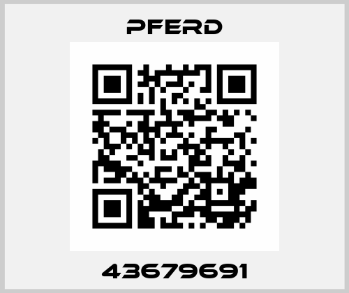 43679691 Pferd