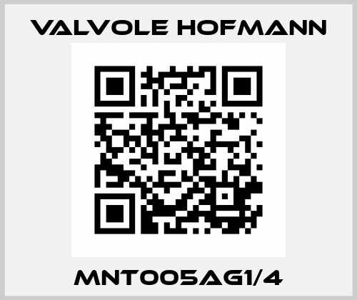 MNT005AG1/4 Valvole Hofmann