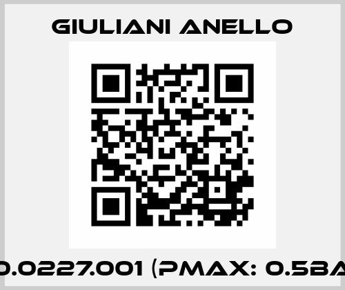 010.0227.001 (Pmax: 0.5bar) Giuliani Anello