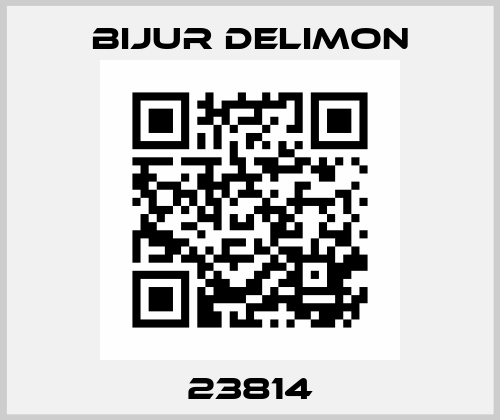 23814 Bijur Delimon
