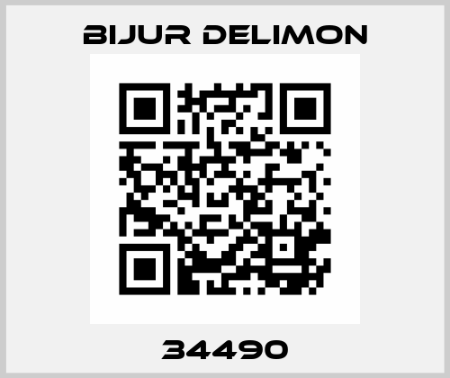 34490 Bijur Delimon