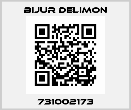 731002173 Bijur Delimon