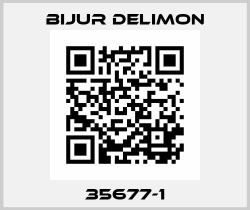 35677-1 Bijur Delimon