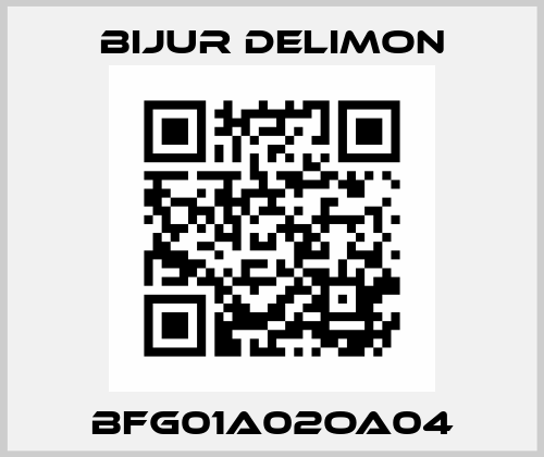 BFG01A02OA04 Bijur Delimon