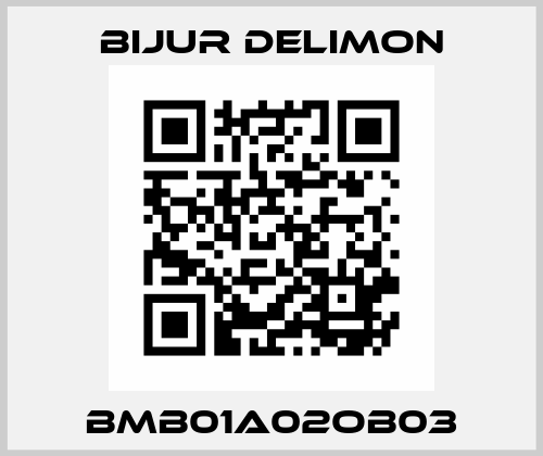 BMB01A02OB03 Bijur Delimon