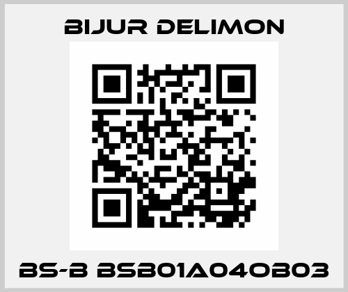 BS-B BSB01A04OB03 Bijur Delimon