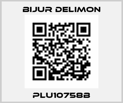 PLU10758B Bijur Delimon