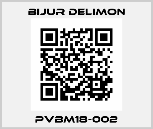 PVBM18-002 Bijur Delimon