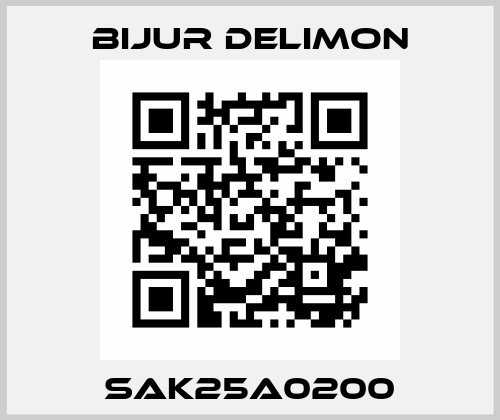 SAK25A0200 Bijur Delimon