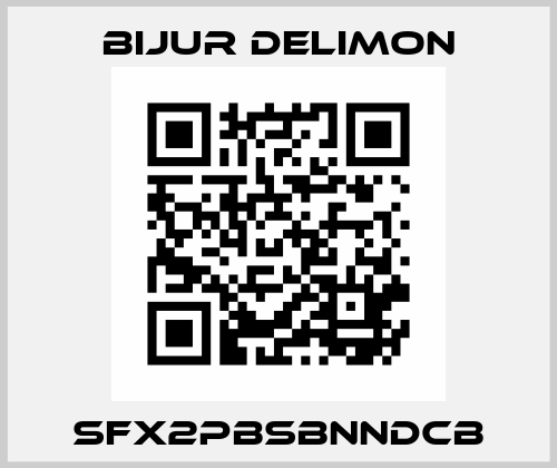 SFX2PBSBNNDCB Bijur Delimon