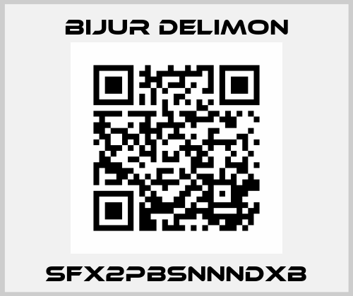 SFX2PBSNNNDXB Bijur Delimon