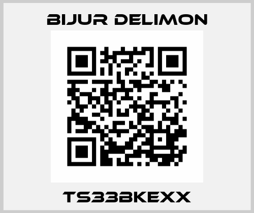 TS33BKEXX Bijur Delimon