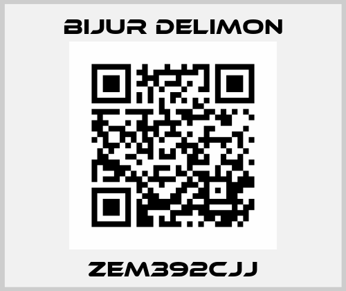 ZEM392CJJ Bijur Delimon