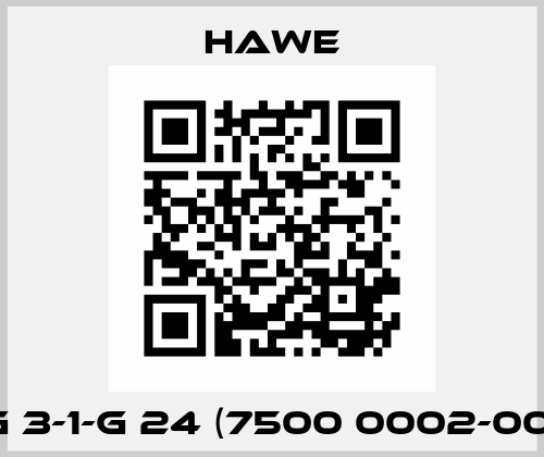 G 3-1-G 24 (7500 0002-00) Hawe