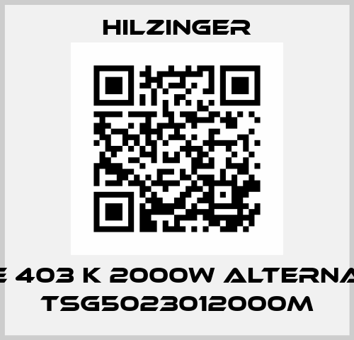 Type 403 K 2000W alternative TSG5023012000M Hilzinger