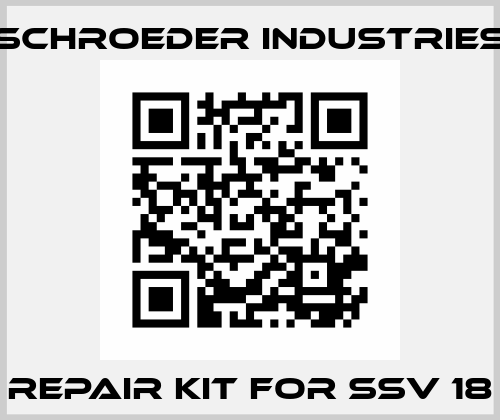 Repair kit for SSV 18 Schroeder