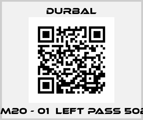 PM20 - 01  LEFT PASS 502  Durbal