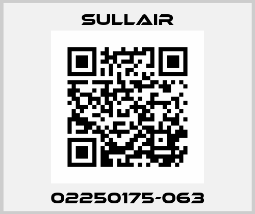 02250175-063 Sullair