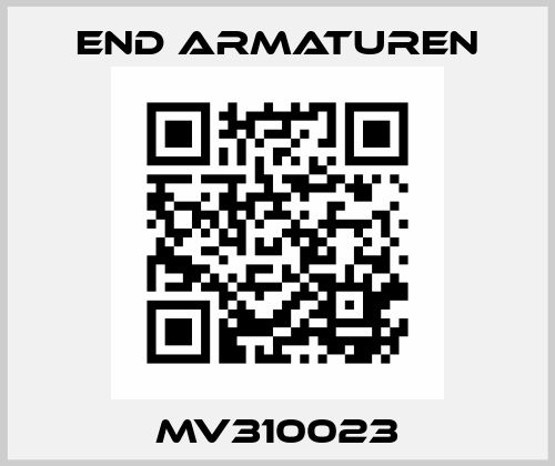 MV310023 End Armaturen