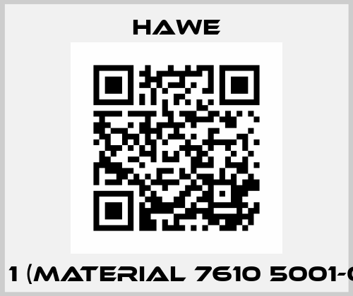 RH 1 (Material 7610 5001-00) Hawe