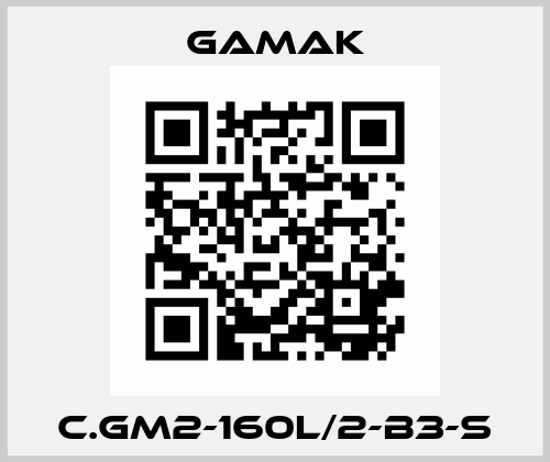 C.GM2-160L/2-B3-S Gamak