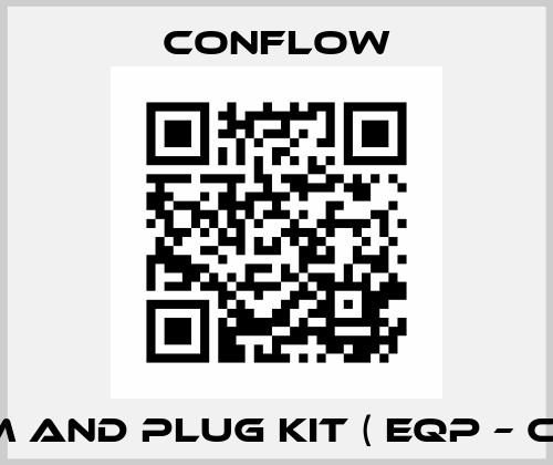 STEM AND PLUG KIT ( EQP – CL.IV°) CONFLOW