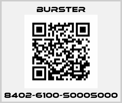 8402-6100-S000S000 Burster