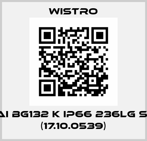 FLAI Bg132 K IP66 236lg SEW (17.10.0539) Wistro
