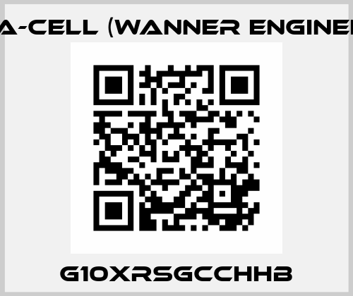 G10XRSGCCHHB Hydra-Cell (Wanner Engineering)